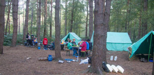 Thumbnail Image 1