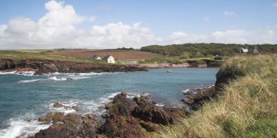 Thumbnail Image 1