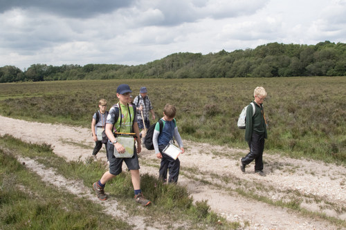 Thumbnail Image 1