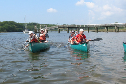 Thumbnail Image 1