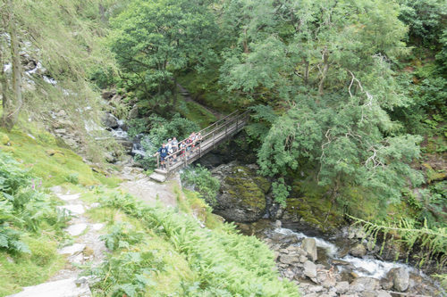 Thumbnail Image 1