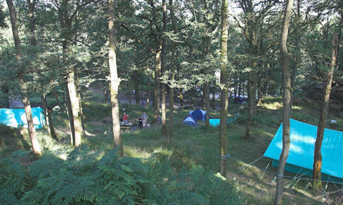Thumbnail Image 1