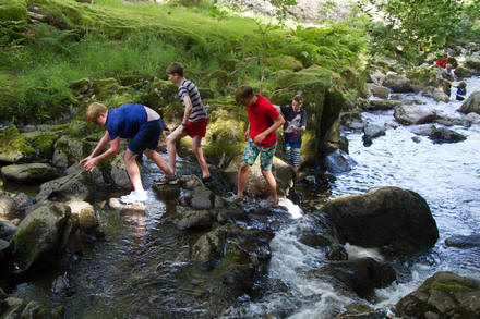 Thumbnail Image 1